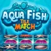 Trận đấu ngói cá Aqua