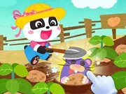 Khu vườn mơ ước của bé gấu trúc