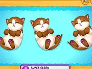 Kitty dễ thương mang thai