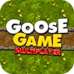 Nhiều người chơi Goose