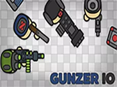 Gunzer. IO