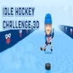 Thử thách khúc côn cầu nhàn rỗi 3D Pro