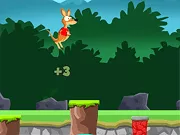 Kangaroo Jumpy