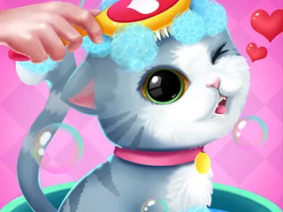 Con mèo nhỏ của tôi