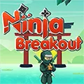 Đột phá Ninja