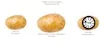Phiên bản Potato Construct 2