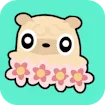 Tình yêu Pug