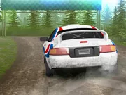 Nhà vô địch Rally