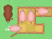 Câu đố trượt: Piggy Move