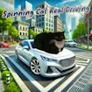 Spinning Cat lái xe thực sự