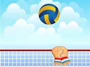 Bóng Volley