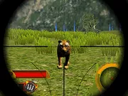 Thợ săn động vật hoang dã Fury